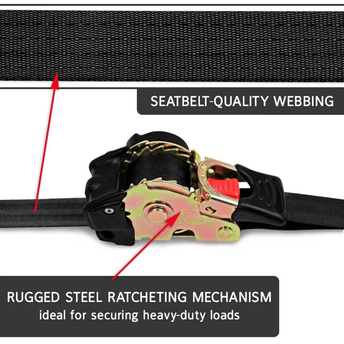 1 inch x 6 ft E track Retractable Ratchet Straps