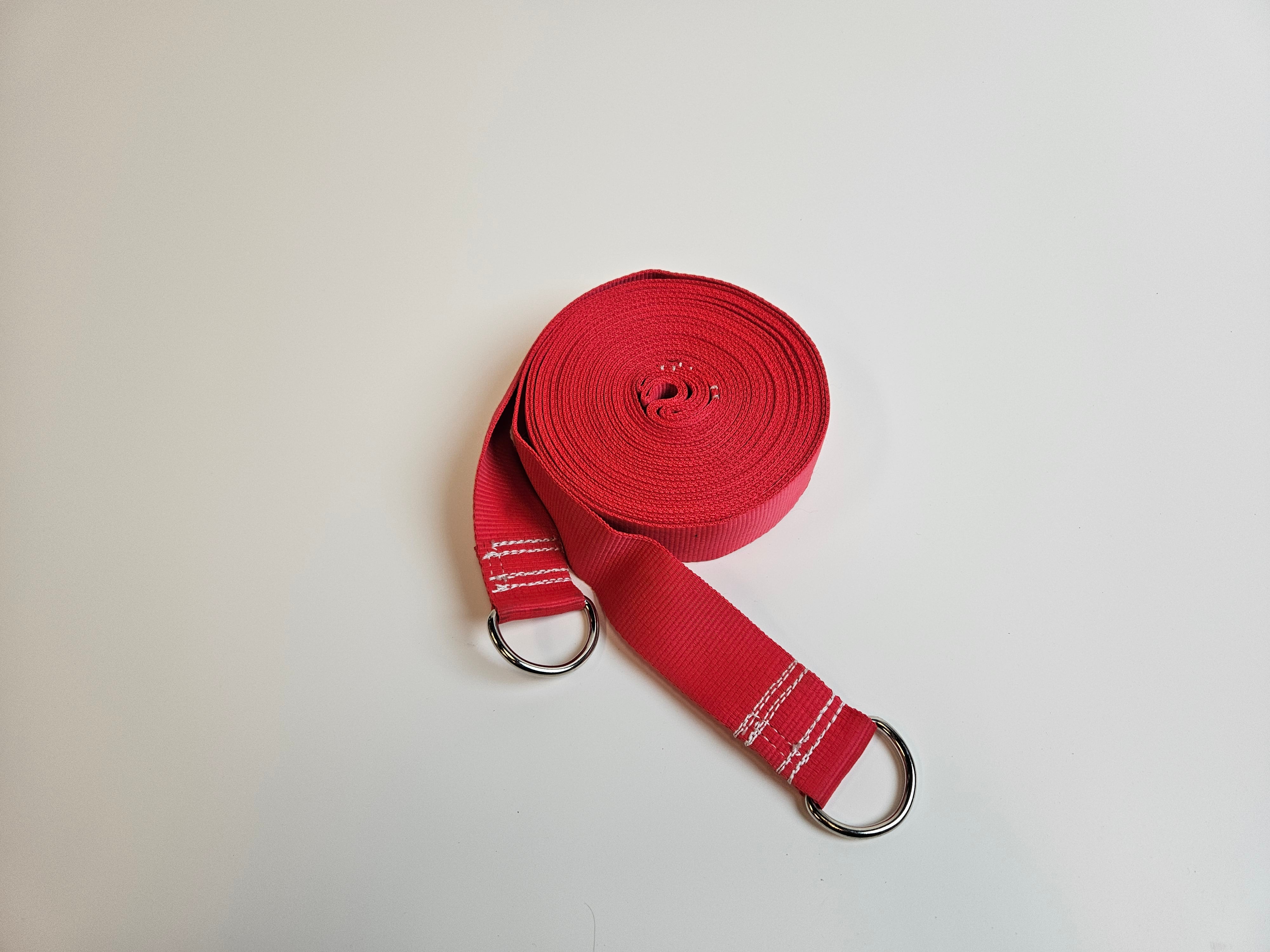 2" D Ring Straps (Side Tethers) - Heavy Duty 18' with White Label, 1 Loop End & 1 D Ring End (2 Straps)