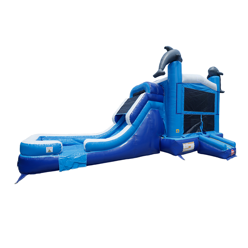 Dolphin Combo Wet n Dry