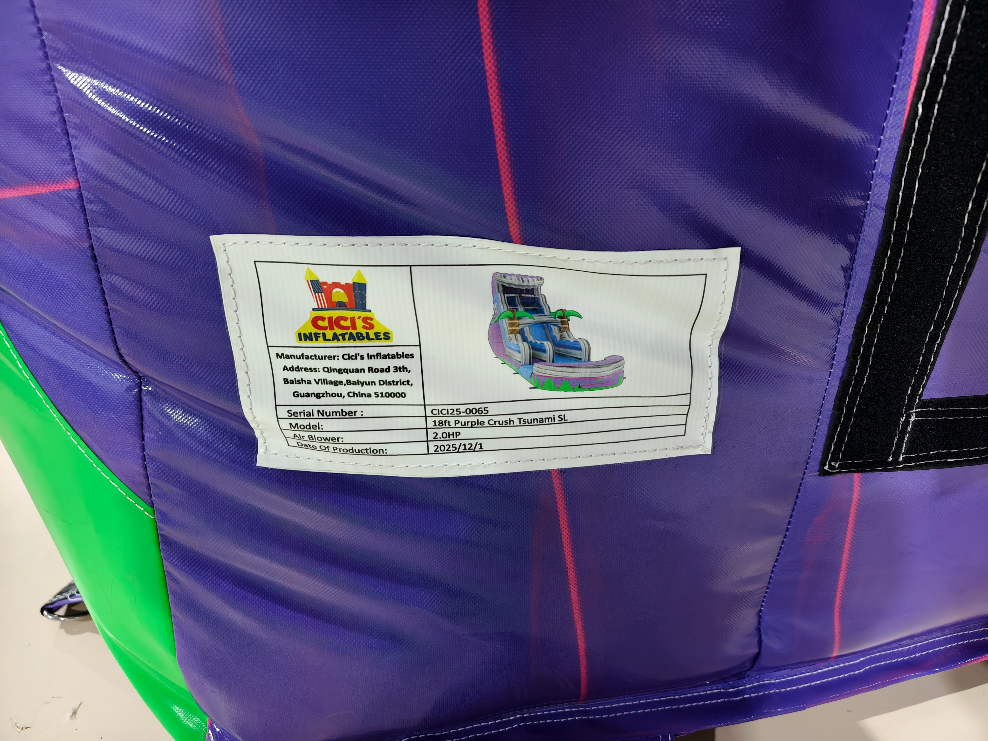 18' Purple Palm Paradise SL