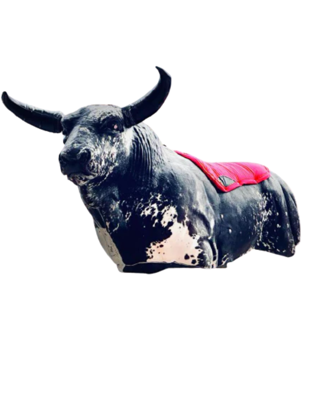 Mechanical Bull Deluxe Package