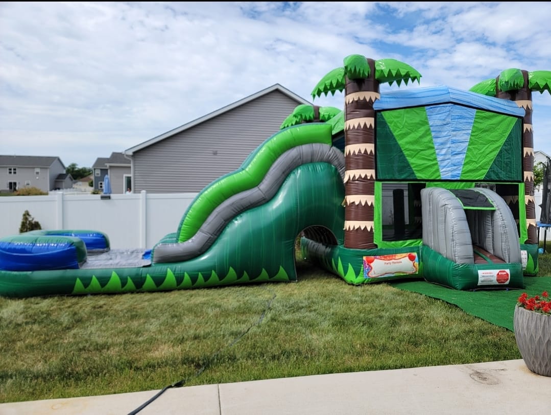 7-1 Palm Marble Double Lane Wave Wet Dry Slide COM-713