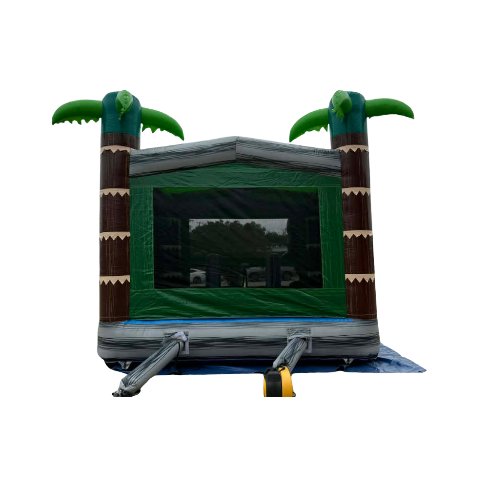 T-Rex Bouncer
