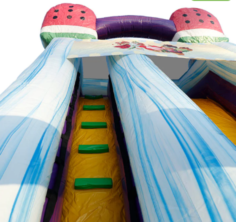 19'H Ice Cream Slide Wet n Dry with Removable Art Panel