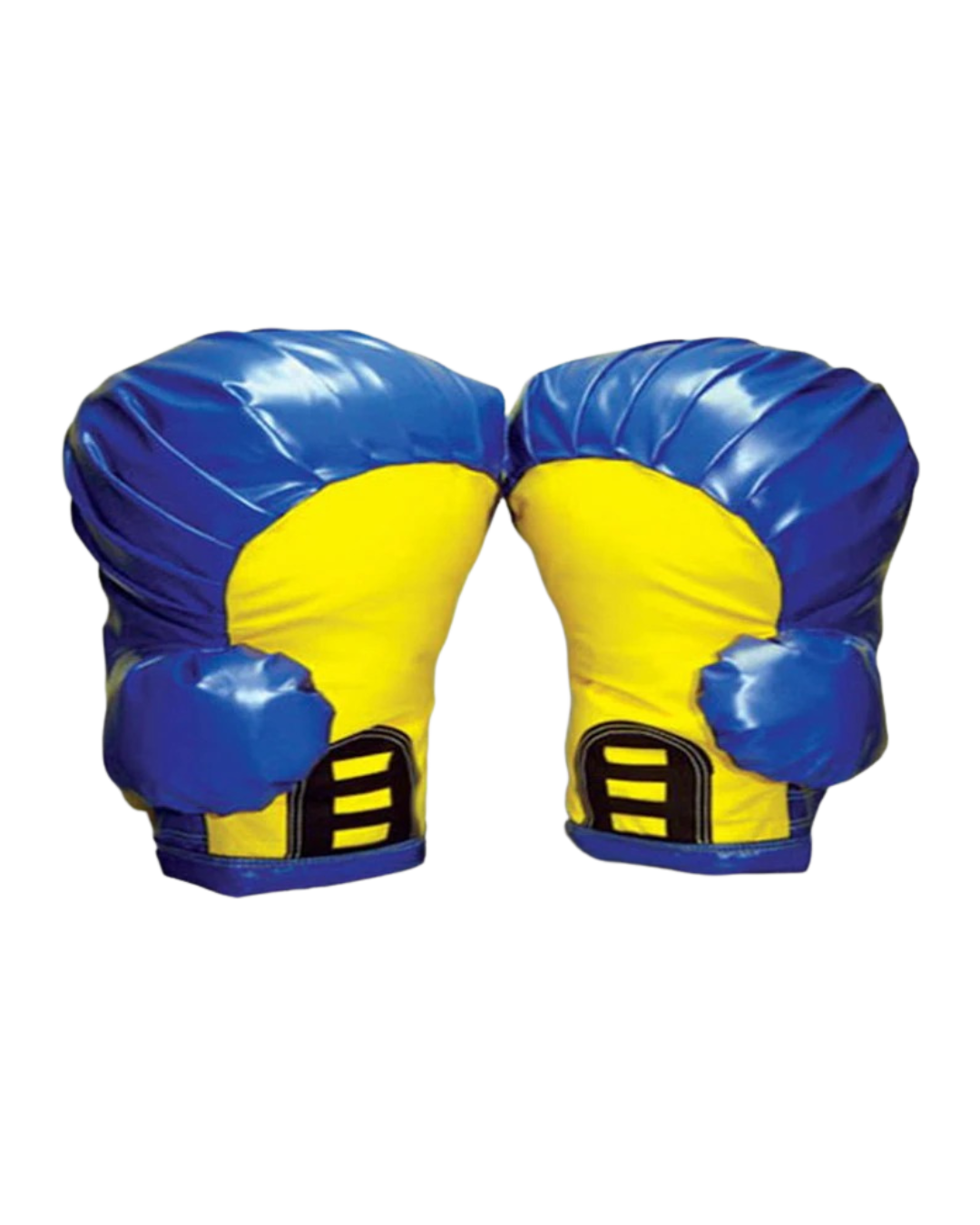 Boxing Ring
