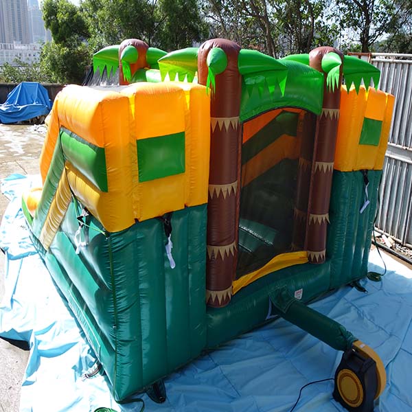 Dual Lane Palm Tree Combo