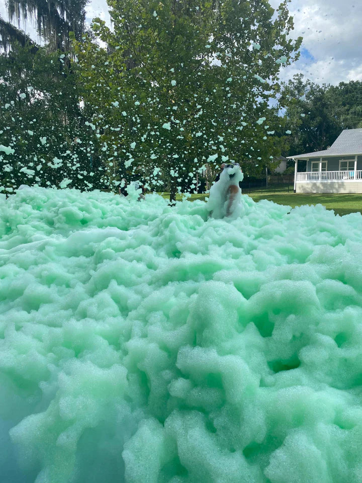 Green Foam Coloring (Used)