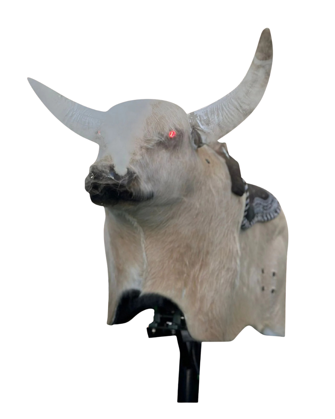 Mechanical Bull Premium Package