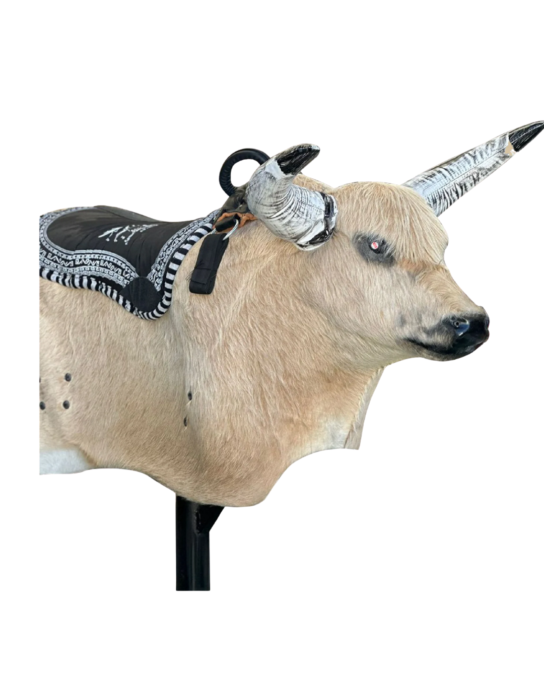 Mechanical Bull Premium Package