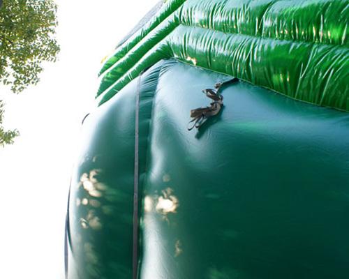 20'H Palm Tree Screamer Slide