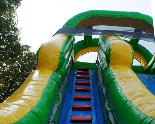 20'H Palm Tree Screamer Slide
